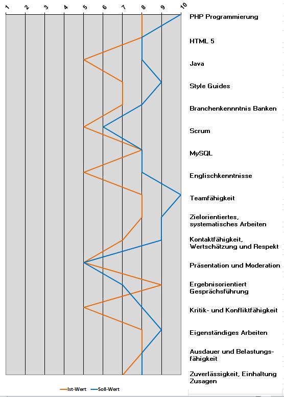 Bild Skill Management Soll Ist Abgleich