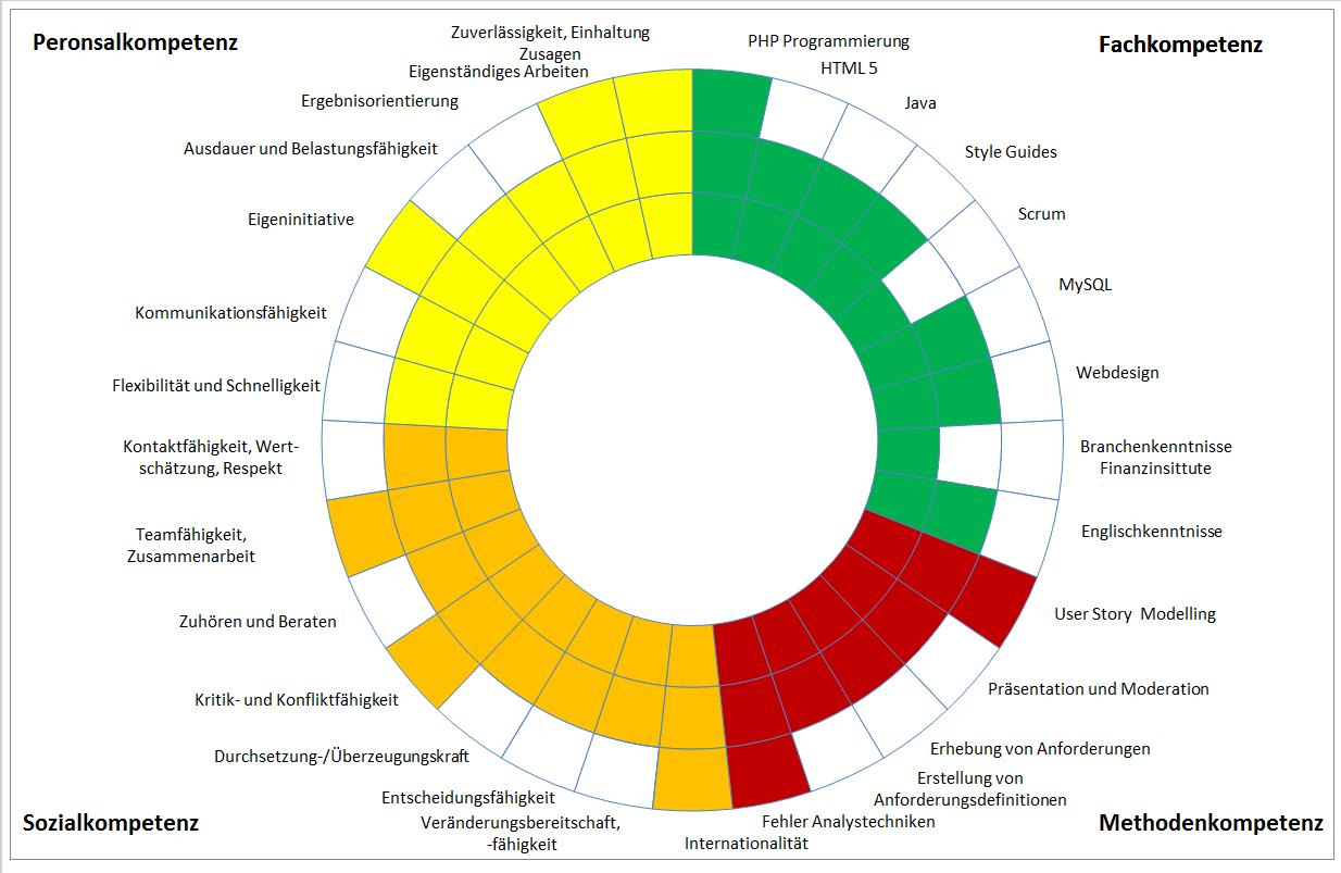 Bild Skill Management Soll Profil North